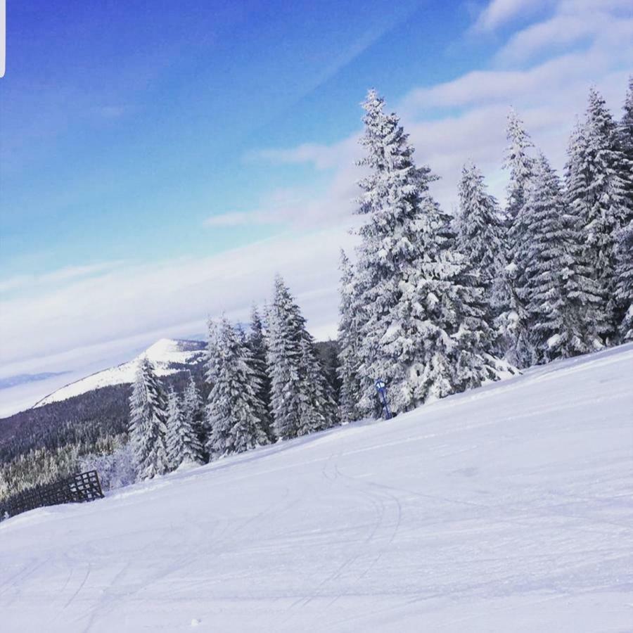 Apartmani Nicole Kopaonik Exteriér fotografie