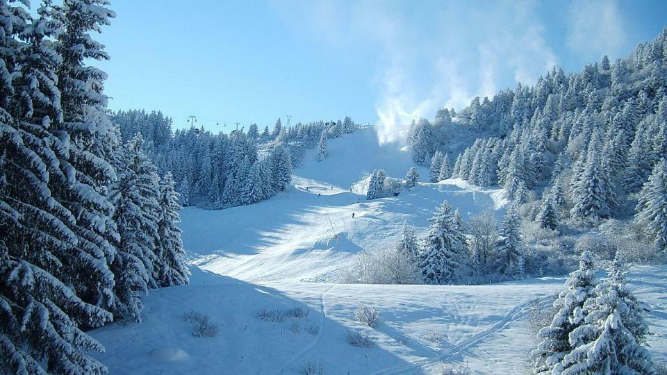 Apartmani Nicole Kopaonik Exteriér fotografie