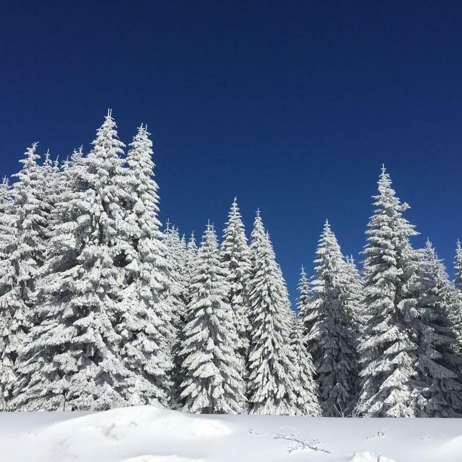 Apartmani Nicole Kopaonik Exteriér fotografie