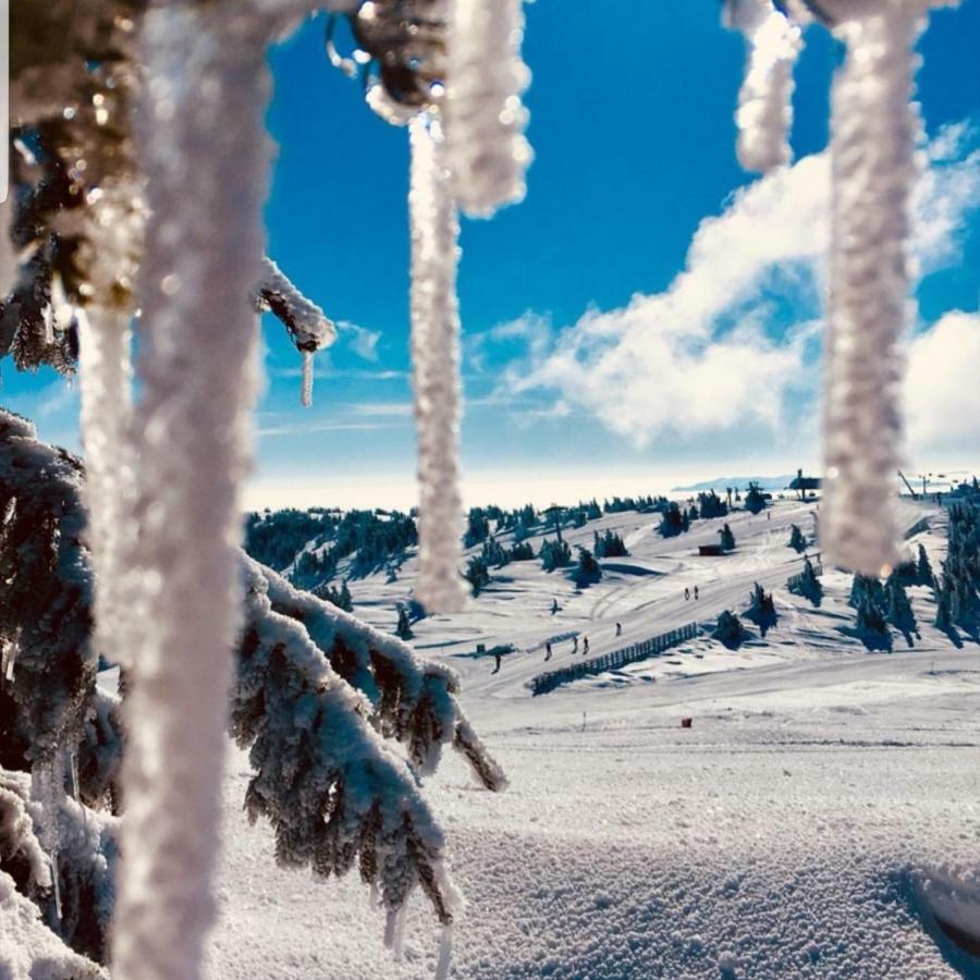 Apartmani Nicole Kopaonik Exteriér fotografie