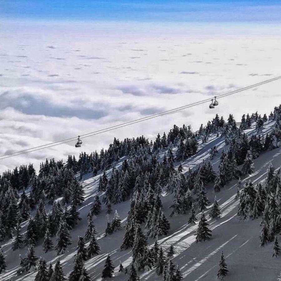 Apartmani Nicole Kopaonik Exteriér fotografie